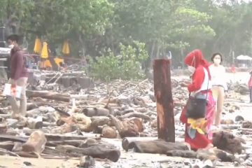 Pantai Kuta Bali dipenuhi sampah kayu