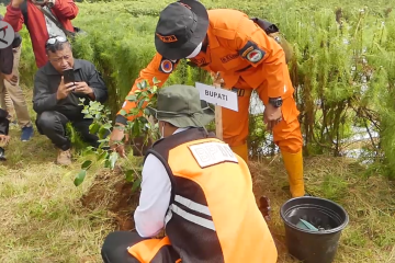 Temanggung rawat wisata alam dengan tanam pohon