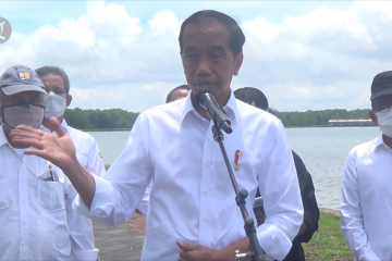 Jokowi ingin ajak kepala negara G20 ke hutan mangrove di Bali