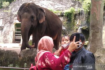 Pengelola Taman Margasatwa Ragunan pastikan protokol kesehatan ditaati