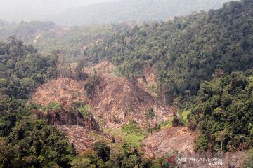 Aktivis minta Presiden segera terbitkan peraturan tata ruang KEL