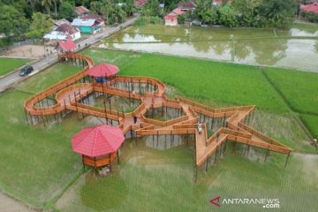 Wisata Sawah Pariaman  