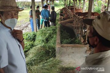 Anggota DPD: Program Simantri tingkatkan pendapatan petani Bali