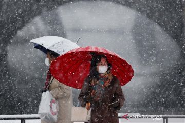 Jepang mulai penelitian untuk hasilkan listrik dari salju