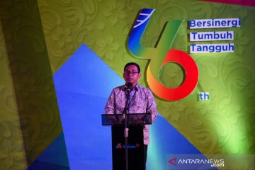 Perayaan HUT 46 Inalum