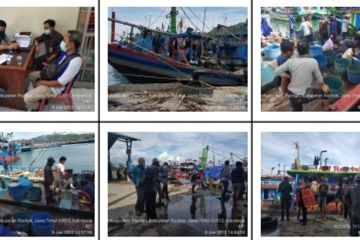BBKSDA dukung Polri selidiki penangkapan lumba-lumba di Pacitan