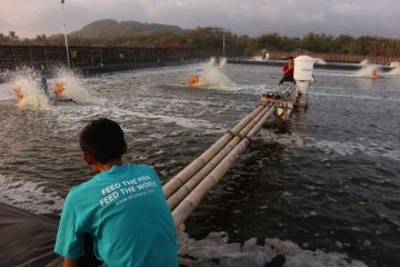 eFishery raih pendanaan Seri C senilai 90 juta dolar AS