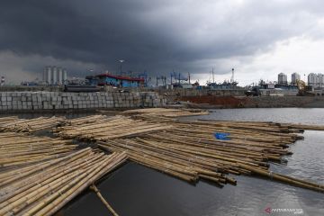Cegah rob meluas di Jakarta, 12,6 kilometer tanggul laut telah dibangun