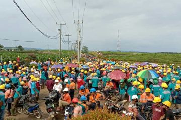 Ribuan karyawan PT KSI di Solok Selatan Sumbar mogok kerja