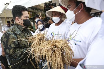 Peluncuran BUMN Holding Pangan ID FOOD