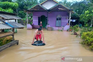 Tujuh RT di Penajam Paser Utara Kaltim terendam banjir