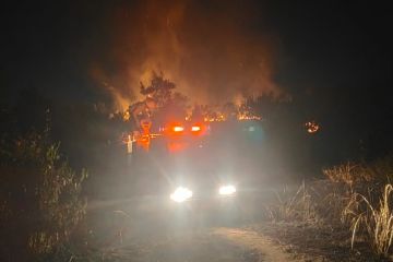Dua hektare lahan di Kabupaten Bintan terbakar