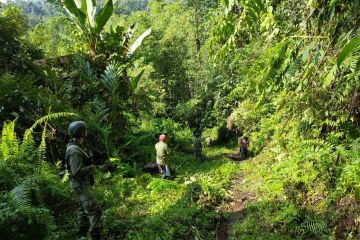 Cari sisa DPO, Satgas sisir wilayah hutan Sigi hingga Lembah Napu Poso