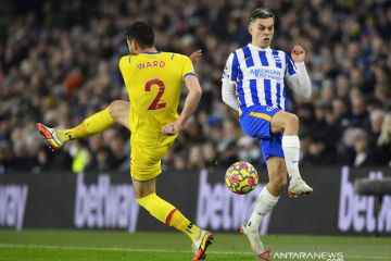 Liga Inggris: Brighton & Hove Albion bermain imbang dengan Crystal Palace