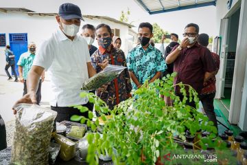 Teten Masduki ungkap dukungan pengembangan produk daun kelor