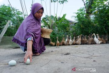 Jumlah penduduk miskin di Kepri berkurang 6.071 orang