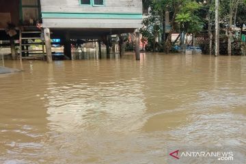 Tujuh kecamatan terendam banjir di Pidie Jaya Aceh