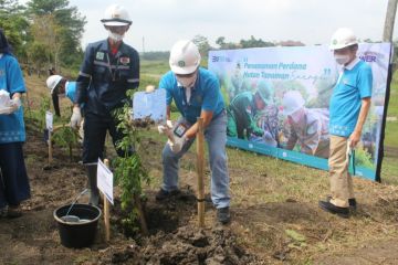 Indonesia Power siapkan ribuan hektare lahan hutan tanaman energi