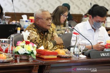 Anggota DPR: Karakter UU IKN tampilkan hukum progresif