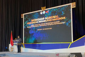 Menteri LHK: Rehabilitasi mangrove berperan turunkan emisi GRK