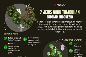 Tujuh jenis baru tumbuhan endemik Indonesia
