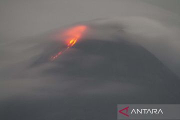 Gunung Merapi luncurkan delapan guguran lava pijar sejauh 2 km