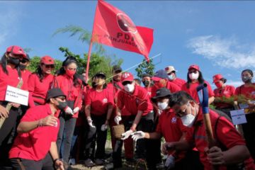 Gerakan menanam pohon HUT 49 PDIP