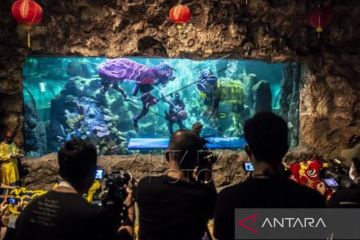 Atraksi Barongsai Seaworld  