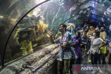 Atraksi barongsai jelang Imlek di  SeaWorld Ancol