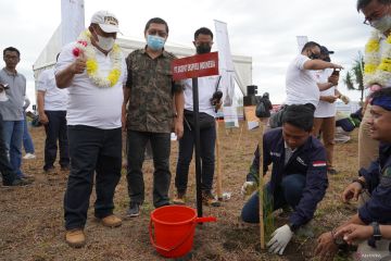 Dishut Jabar maksimalkan pentahelix untuk tanam 20 juta pohon di 2022