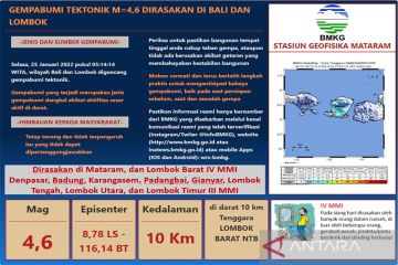 Gempa 4,6 magnitudo guncang Lombok