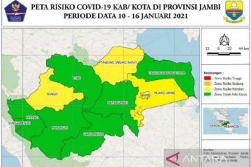 Tujuh daerah di Provinsi Jambi nihil kasus COVID-19