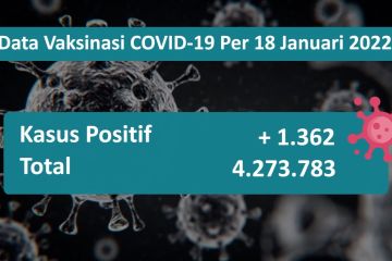 3 provinsi alami penambahan kasus positif COVID-19 di atas 100