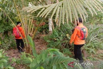 Tim SAR lanjutkan pencarian petani merica hilang di Kolaka Timur