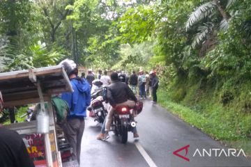 Jalur Kelok 44 Agam Sumbar terputus akibat pohon tumbang