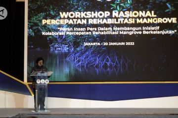 119 Unit lanskap jadi target rehabilitasi mangrove hingga 2024