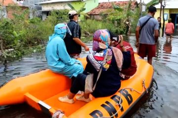 Banjir landa Pekalongan, ratusan warga terdampak mengungsi 