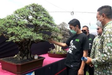Bupati Madiun minta perajin bonsai bentuk komunitas