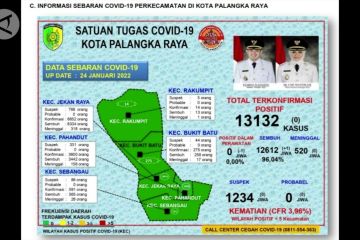 COVID-19 ditemukan lagi di  Ambon, tapi di Palangka Raya nihil