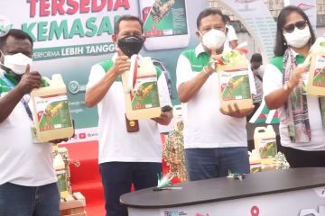 Pertamina Dex hadir di Jayapura