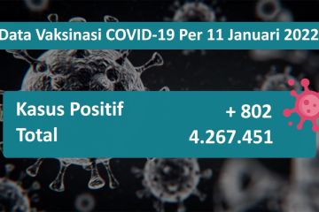 Kasus positif COVID-19 bertambah 802 kasus