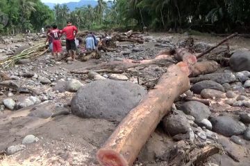 Pembalakan liar diduga salah satu penyebab banjir bandang Jember