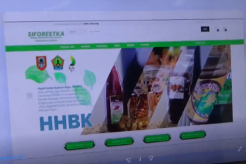 Siforestka, inovasi layanan informasi data kehutanan Kalsel