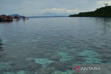 LIPI rencanakan taman nasional Togean sebagai tempat riset tetap