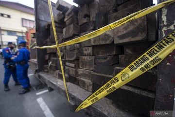 UNGKAP KASUS ILLEGAL LOGGING DI PERBATASAN SUMSEL-JAMBI