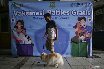 Yogyakarta gelar vaksinasi rabies gratis targetkan 150 hewan