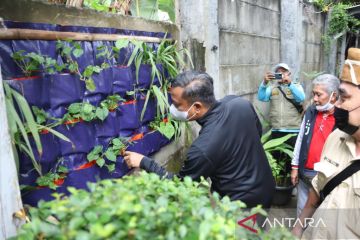 Wali Kota Jaksel berharap kelurahan maksimalkan pertanian perkotaan