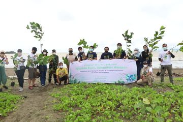 Jamkrindo kembali hijaukan kawasan Geopark Ciletuh