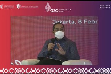 RI angkat tiga hal penting di TWIIG gelaran G20