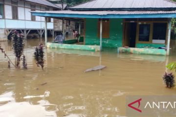 1.407 rumah warga tergenang akibat banjir di Bengkulu